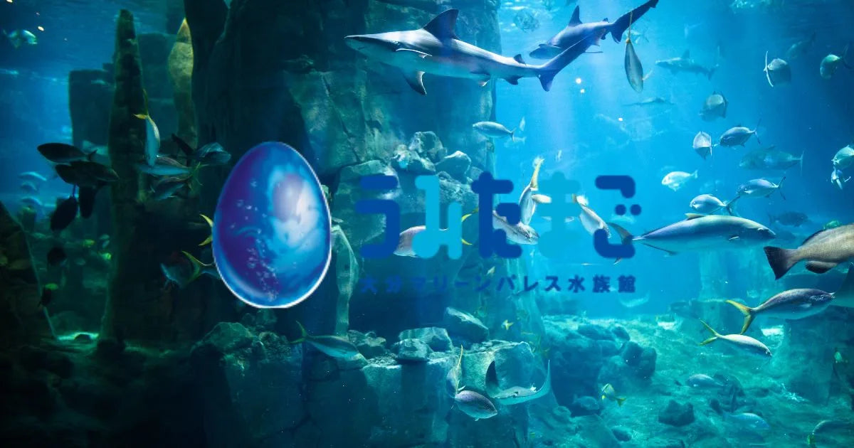 うみたまご半額クーポンでお得に入館する方法まとめ。2026最新