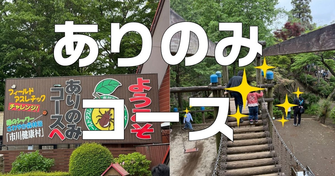 ありのみコース口コミレビュー
