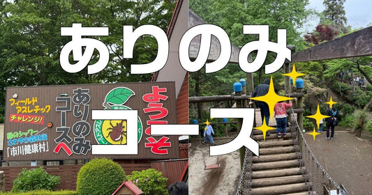 ありのみコース口コミレビュー