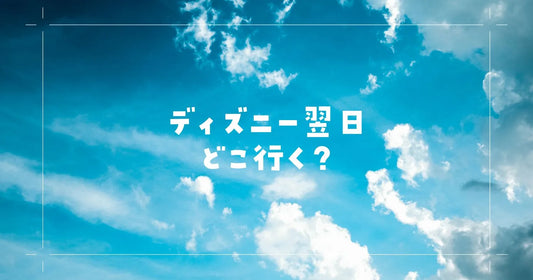 ディズニー次の日どこ行く