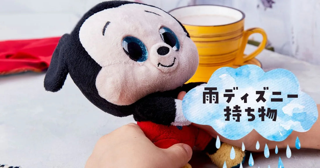 ディズニー雨持ち物は
