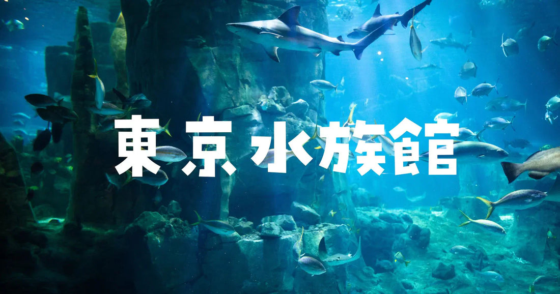 東京水族館大きい順まとめ