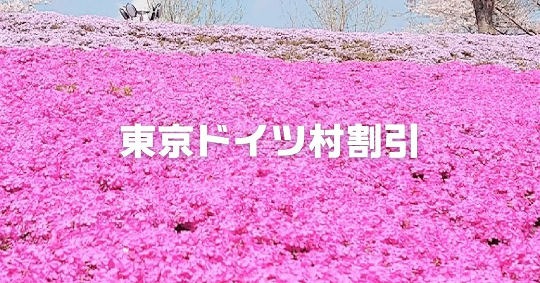 東京ドイツ村やばいほど安い割引